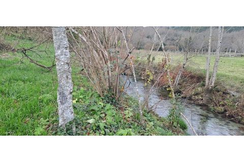 Helårsgrund i Arcos de Valdevez, Viana do Castelo, Arcos de Valdevez - € 46.000 | Ref: 123721084-65 - foto 13