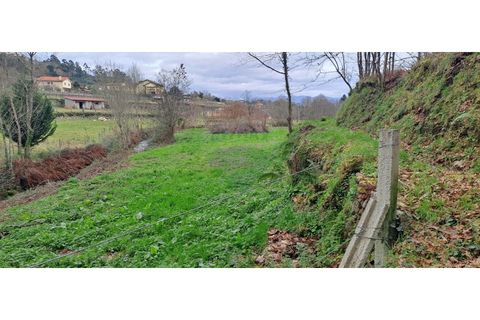 Helårsgrund i Arcos de Valdevez, Viana do Castelo, Arcos de Valdevez - € 46.000 | Ref: 123721084-65 - foto 14