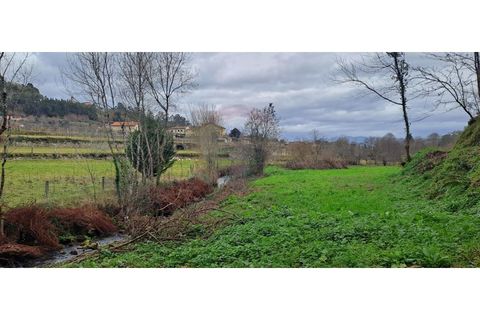 Helårsgrund i Arcos de Valdevez, Viana do Castelo, Arcos de Valdevez - € 46.000 | Ref: 123721084-65 - foto 19