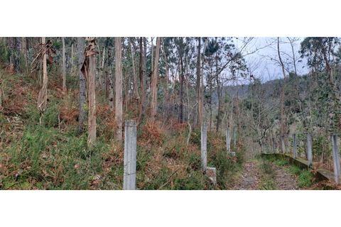 Helårsgrund i Arcos de Valdevez, Viana do Castelo, Arcos de Valdevez - € 46.000 | Ref: 123721084-65 - foto 20