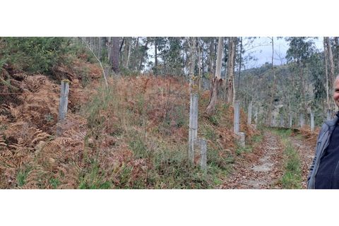 Helårsgrund i Arcos de Valdevez, Viana do Castelo, Arcos de Valdevez - € 46.000 | Ref: 123721084-65 - foto 22
