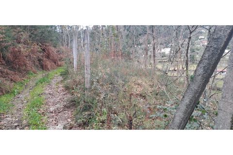 Helårsgrund i Arcos de Valdevez, Viana do Castelo, Arcos de Valdevez - € 46.000 | Ref: 123721084-65 - foto 23