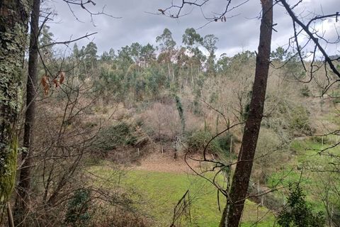 Helårsgrund i Arcos de Valdevez, Viana do Castelo, Arcos de Valdevez - € 10.000 | Ref: 1101-1 - foto 3