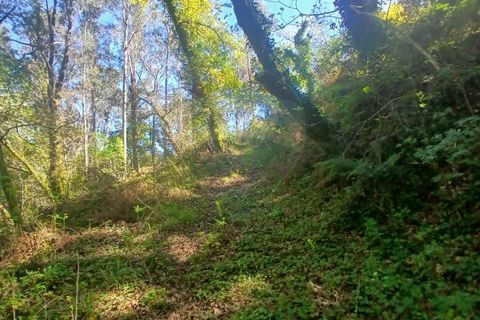 Helårsgrund i Arcos de Valdevez, Viana do Castelo, Arcos de Valdevez - € 40.000 | Ref: 1101-2 - foto 2