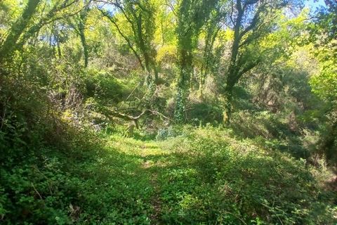 Helårsgrund i Arcos de Valdevez, Viana do Castelo, Arcos de Valdevez - € 40.000 | Ref: 1101-2 - foto 3