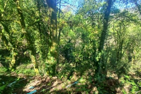 Helårsgrund i Arcos de Valdevez, Viana do Castelo, Arcos de Valdevez - € 40.000 | Ref: 1101-2 - foto 4