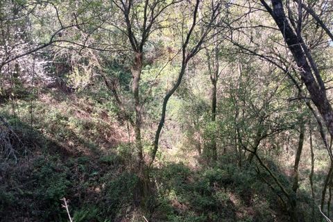 Helårsgrund i Arcos de Valdevez, Viana do Castelo, Arcos de Valdevez - € 40.000 | Ref: 1101-2 - foto 6