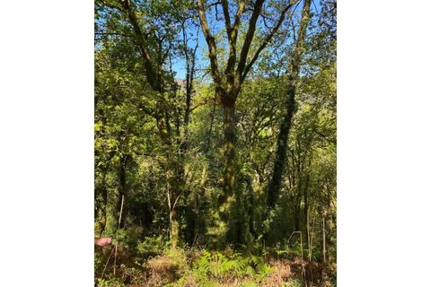 Helårsgrund i Arcos de Valdevez, Viana do Castelo, Arcos de Valdevez - € 40.000 | Ref: 1101-2 - foto 7