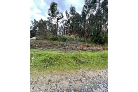 Helårsgrund i Arcos de Valdevez, Viana do Castelo, Arcos de Valdevez - € 39.900 | Ref: 123721101-5 - foto 3