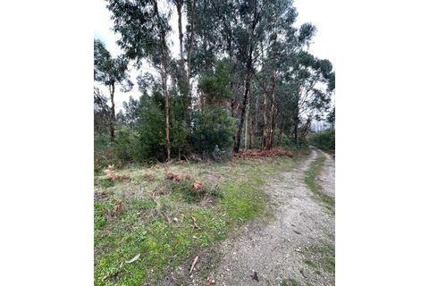 Helårsgrund i Arcos de Valdevez, Viana do Castelo, Arcos de Valdevez - € 39.900 | Ref: 123721101-5 - foto 4