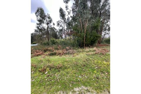 Helårsgrund i Arcos de Valdevez, Viana do Castelo, Arcos de Valdevez - € 39.900 | Ref: 123721101-5 - foto 5
