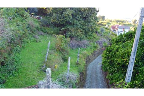 Helårsgrund i Arcos de Valdevez, Viana do Castelo, Arcos de Valdevez - € 23.000 | Ref: 1074-117 - foto 3