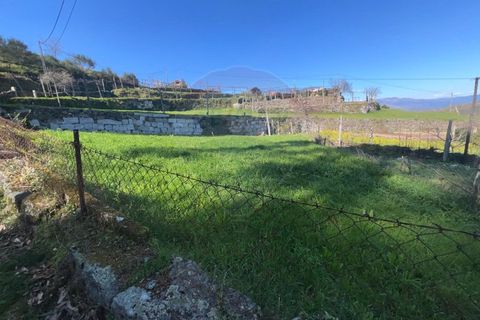 Helårsgrund i Ponte da Barca, Viana do Castelo, Ponte da Barca - € 42.500 | Ref: 126371012-127 - foto 7