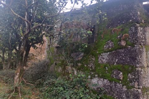 Landejendom i Arcos de Valdevez, Viana do Castelo, Arcos de Valdevez - € 52.000 | Ref: 1084-57 - foto 5