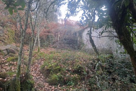 Landejendom i Arcos de Valdevez, Viana do Castelo, Arcos de Valdevez - € 52.000 | Ref: 1084-57 - foto 6