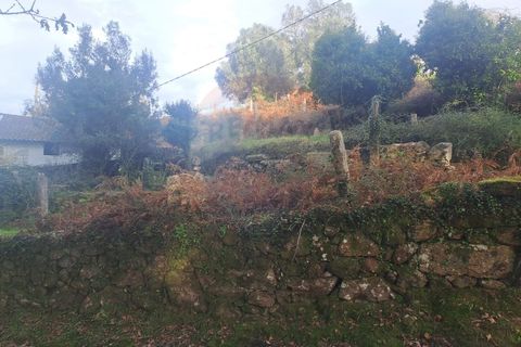Landejendom i Arcos de Valdevez, Viana do Castelo, Arcos de Valdevez - € 52.000 | Ref: 1084-57 - foto 9