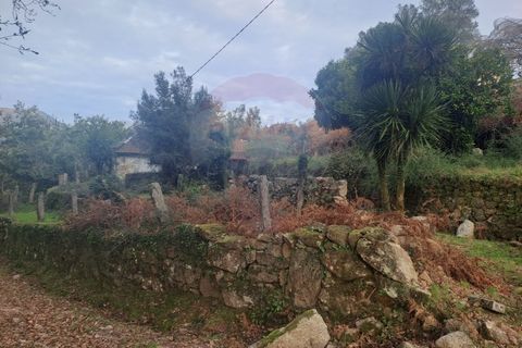 Landejendom i Arcos de Valdevez, Viana do Castelo, Arcos de Valdevez - € 52.000 | Ref: 1084-57 - foto 11