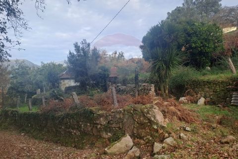 Landejendom i Arcos de Valdevez, Viana do Castelo, Arcos de Valdevez - € 52.000 | Ref: 1084-57 - foto 13