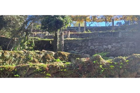 Landejendom i Arcos de Valdevez, Viana do Castelo, Arcos de Valdevez - € 52.000 | Ref: 1084-57 - foto 14
