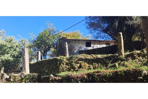 Landejendom i Arcos de Valdevez, Viana do Castelo, Arcos de Valdevez - € 52.000 | Ref: 1084-57 - foto 17