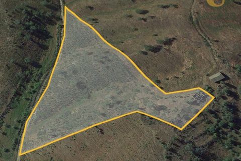 Farm hus i Almodovar, Beja, Almodovar - € 120.000 | Ref: QTA12919 - foto 2