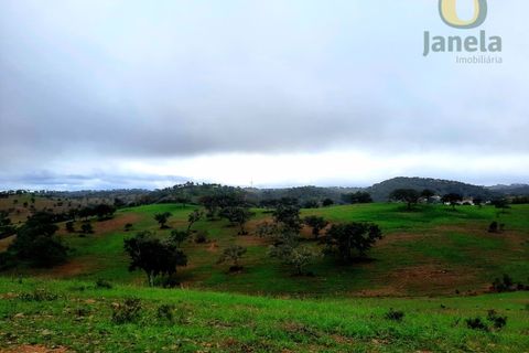 Farm hus i Almodovar, Beja, Almodovar - € 120.000 | Ref: QTA12919 - foto 3