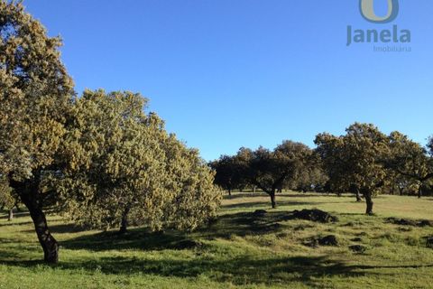 Farm hus i Almodovar, Beja, Almodovar - € 120.000 | Ref: QTA12919 - foto 6