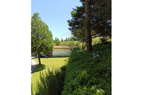 Villa i Arcos de Valdevez, Viana do Castelo, Arcos de Valdevez - € 1.540.000 | Ref: 1040-53 - foto 7