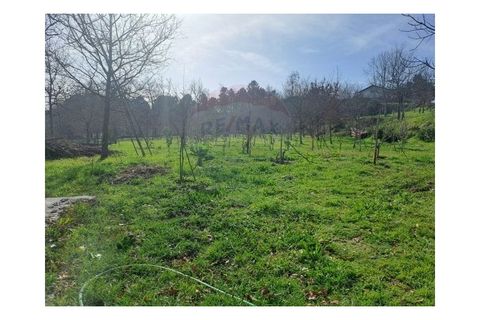 Villa i Arcos de Valdevez, Viana do Castelo, Arcos de Valdevez - € 1.540.000 | Ref: 1040-53 - foto 42