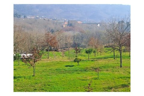 Villa i Arcos de Valdevez, Viana do Castelo, Arcos de Valdevez - € 1.540.000 | Ref: 1040-53 - foto 45