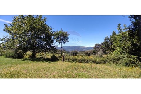Helårsgrund i Arcos de Valdevez, Viana do Castelo, Arcos de Valdevez - € 37.000 | Ref: 1001-644 - foto 4