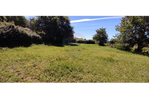 Helårsgrund i Arcos de Valdevez, Viana do Castelo, Arcos de Valdevez - € 37.000 | Ref: 1001-644 - foto 5