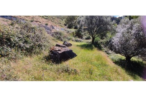 Helårsgrund i Arcos de Valdevez, Viana do Castelo, Arcos de Valdevez - € 37.000 | Ref: 1001-644 - foto 9