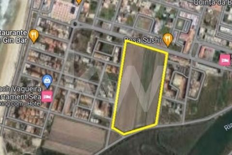 Helårsgrund i Vagos, Aveiro, Vagos - € 4.980.000 | Ref: 2198-2808 - foto 2