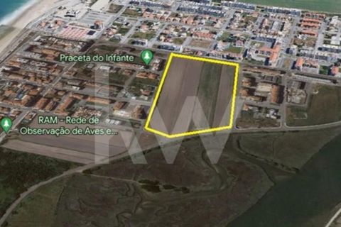 Helårsgrund i Vagos, Aveiro, Vagos - € 4.980.000 | Ref: 2198-2808 - foto 3