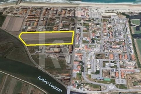 Helårsgrund i Vagos, Aveiro, Vagos - € 4.980.000 | Ref: 2198-2808 - foto 4