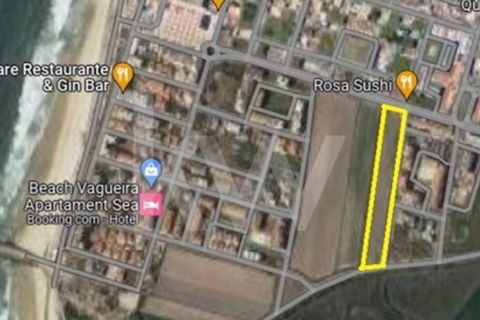 Helårsgrund i Vagos, Aveiro, Vagos - € 1.500.000 | Ref: 2198-2805 - foto 2
