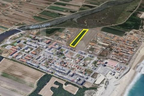 Helårsgrund i Vagos, Aveiro, Vagos - € 1.200.000 | Ref: 2198-2084 - foto 2