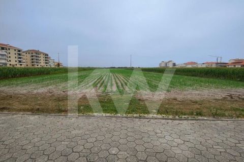Helårsgrund i Vagos, Aveiro, Vagos - € 1.200.000 | Ref: 2198-2084 - foto 3