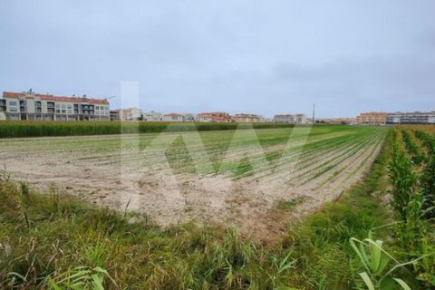 Helårsgrund i Vagos, Aveiro, Vagos - € 1.200.000 | Ref: 2198-2084 - foto 5