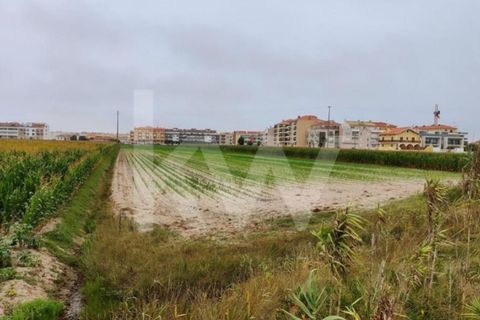 Helårsgrund i Vagos, Aveiro, Vagos - € 1.200.000 | Ref: 2198-2084 - foto 6
