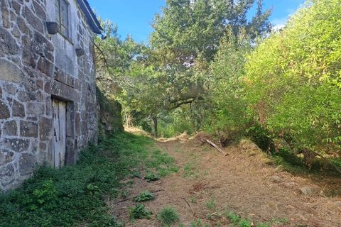 Farm i Arcos de Valdevez, Viana do Castelo, Arcos de Valdevez - € 250.000 | Ref: 1040-116 - foto 5