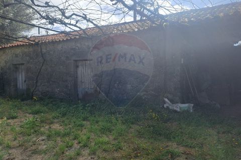 Farm i Arcos de Valdevez, Viana do Castelo, Arcos de Valdevez - € 250.000 | Ref: 1040-116 - foto 8
