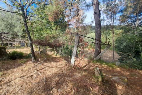 Farm i Arcos de Valdevez, Viana do Castelo, Arcos de Valdevez - € 250.000 | Ref: 1040-116 - foto 9