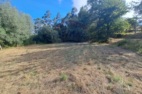 Farm i Arcos de Valdevez, Viana do Castelo, Arcos de Valdevez - € 250.000 | Ref: 1040-116 - foto 10
