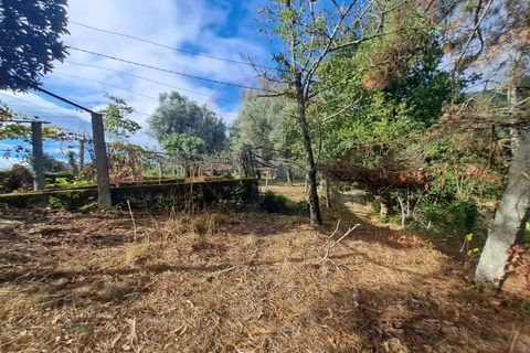 Farm i Arcos de Valdevez, Viana do Castelo, Arcos de Valdevez - € 250.000 | Ref: 1040-116 - foto 11