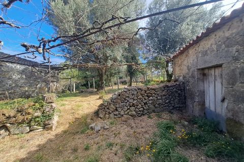 Farm i Arcos de Valdevez, Viana do Castelo, Arcos de Valdevez - € 250.000 | Ref: 1040-116 - foto 12