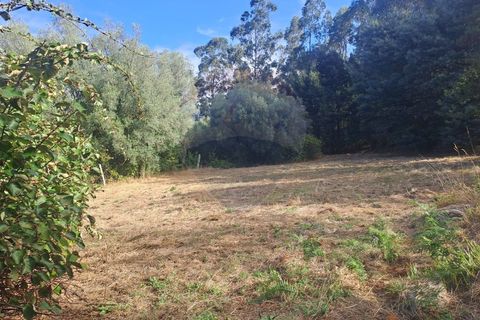 Farm i Arcos de Valdevez, Viana do Castelo, Arcos de Valdevez - € 250.000 | Ref: 1040-116 - foto 19