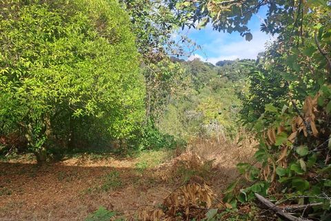Farm i Arcos de Valdevez, Viana do Castelo, Arcos de Valdevez - € 250.000 | Ref: 1040-116 - foto 20