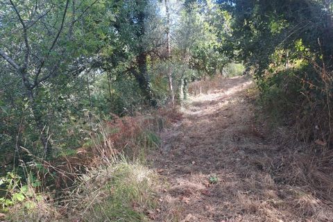 Farm i Arcos de Valdevez, Viana do Castelo, Arcos de Valdevez - € 250.000 | Ref: 1040-116 - foto 21